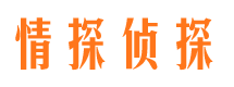 含山市私家侦探